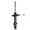 Suspension Strut - image 1