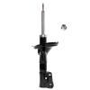 Suspension Strut - image 1