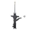 Suspension Strut - image 1
