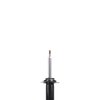 Suspension Strut - image 2