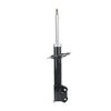 Suspension Strut - image 4