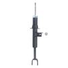 Suspension Strut - image 1