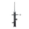 Suspension Strut - image 1