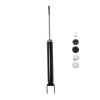 Suspension Strut - image 1