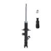Suspension Strut - image 1