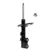 Suspension Strut - image 1