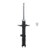 Suspension Strut - image 1
