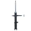 Suspension Strut - image 1