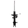 Suspension Strut - image 1