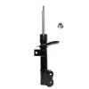 Suspension Strut - image 1