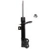 Suspension Strut - image 1