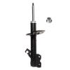 Suspension Strut - image 1