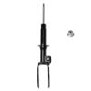 Suspension Strut - image 1