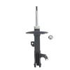 Suspension Strut - image 1