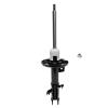 Suspension Strut - image 1