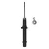 Suspension Strut - image 1