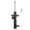 Suspension Strut - image 1