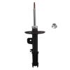 Suspension Strut - image 1