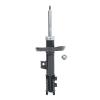 Suspension Strut - image 1