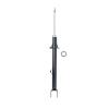 Suspension Strut - image 1