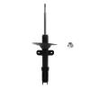 Suspension Strut - image 1