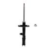 Suspension Strut - image 1