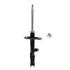 Suspension Strut - image 1