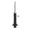 Suspension Strut - image 1