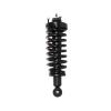 Strut Assembly - image 1