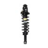 Strut Assembly - image 3