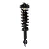 Strut Assembly - image 1