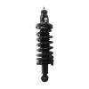 Strut Assembly - image 1