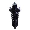 Strut Assembly - image 1