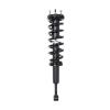 Strut Assembly - image 1