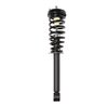 Strut Assembly - image 3