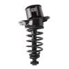 Strut Assembly - image 1
