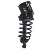 Strut Assembly - image 1