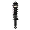 Strut Assembly - image 1