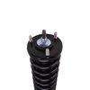 Strut Assembly - image 3