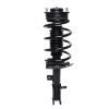 Strut Assembly - image 1