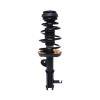 Strut Assembly - image 1