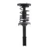 Strut Assembly - image 1