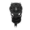 Strut Assembly - image 2