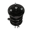 Strut Assembly - image 2
