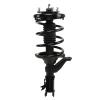 Strut Assembly - image 1