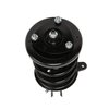 Strut Assembly - image 2