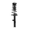 Strut Assembly - image 1