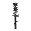 Strut Assembly - image 1
