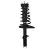 Strut Assembly - image 1