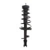 Strut Assembly - image 1